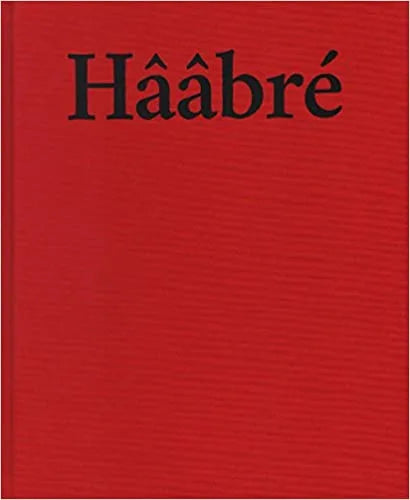 Haabre: The Last Generation by Joana Choumali