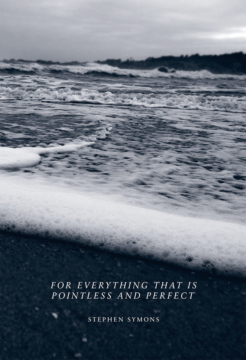 For Everything That is Pointless and Perfect by Stephen Symons