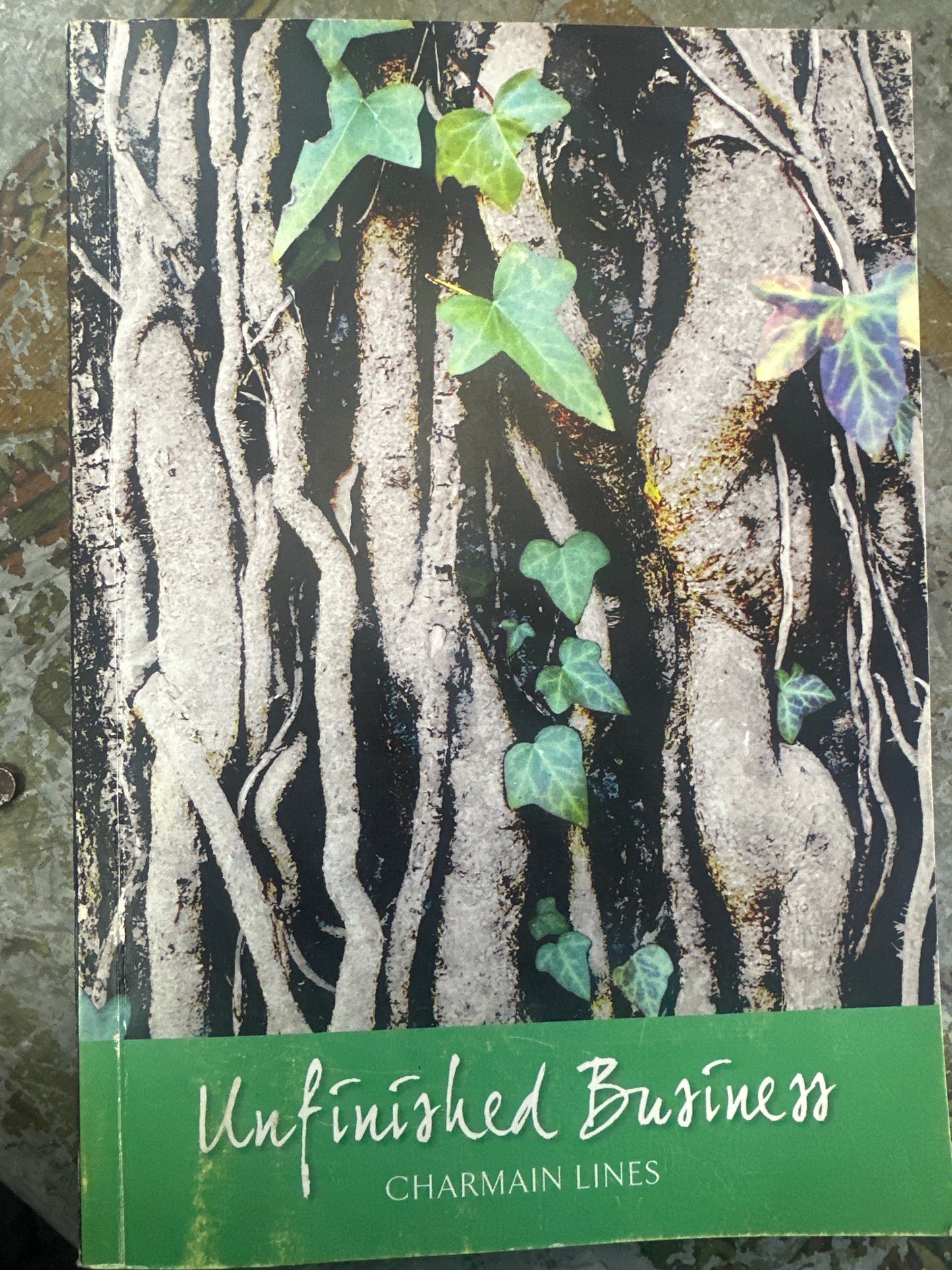 Unfinished Business, by Charmain Lines (Used)