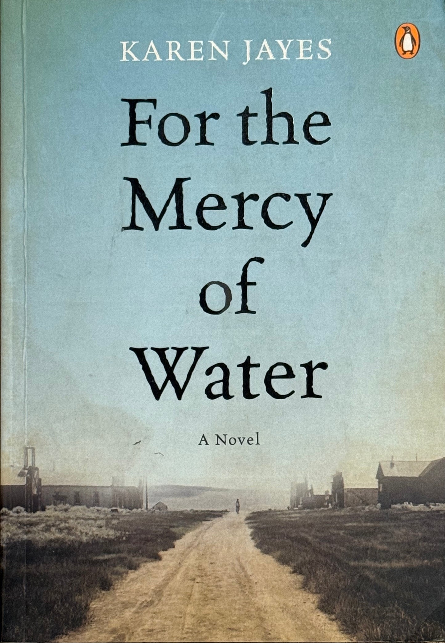 For the Mercy of Water, by Karen Jayes (used)