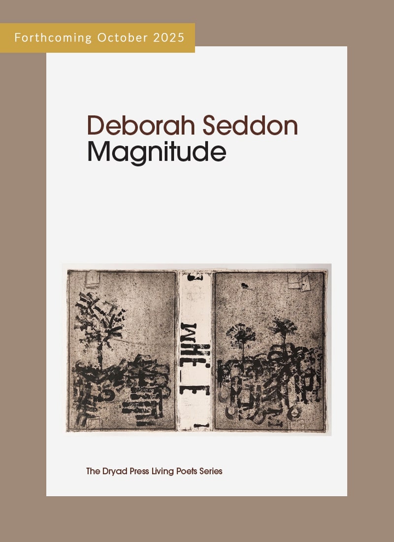Magnitude, by Deborah Seddon