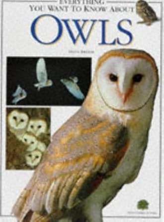 Everything You Wanted to Know About: Owls Pb cover image