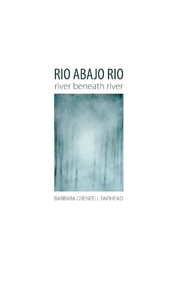 Rio Abajo Rio cover image