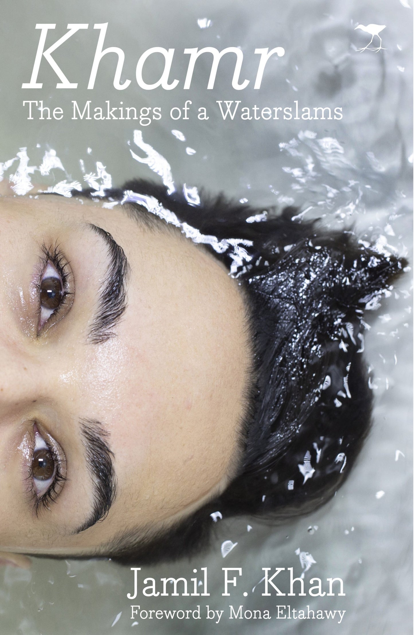 Khamr: The Makings of a Waterslams by Jamil F. Khan