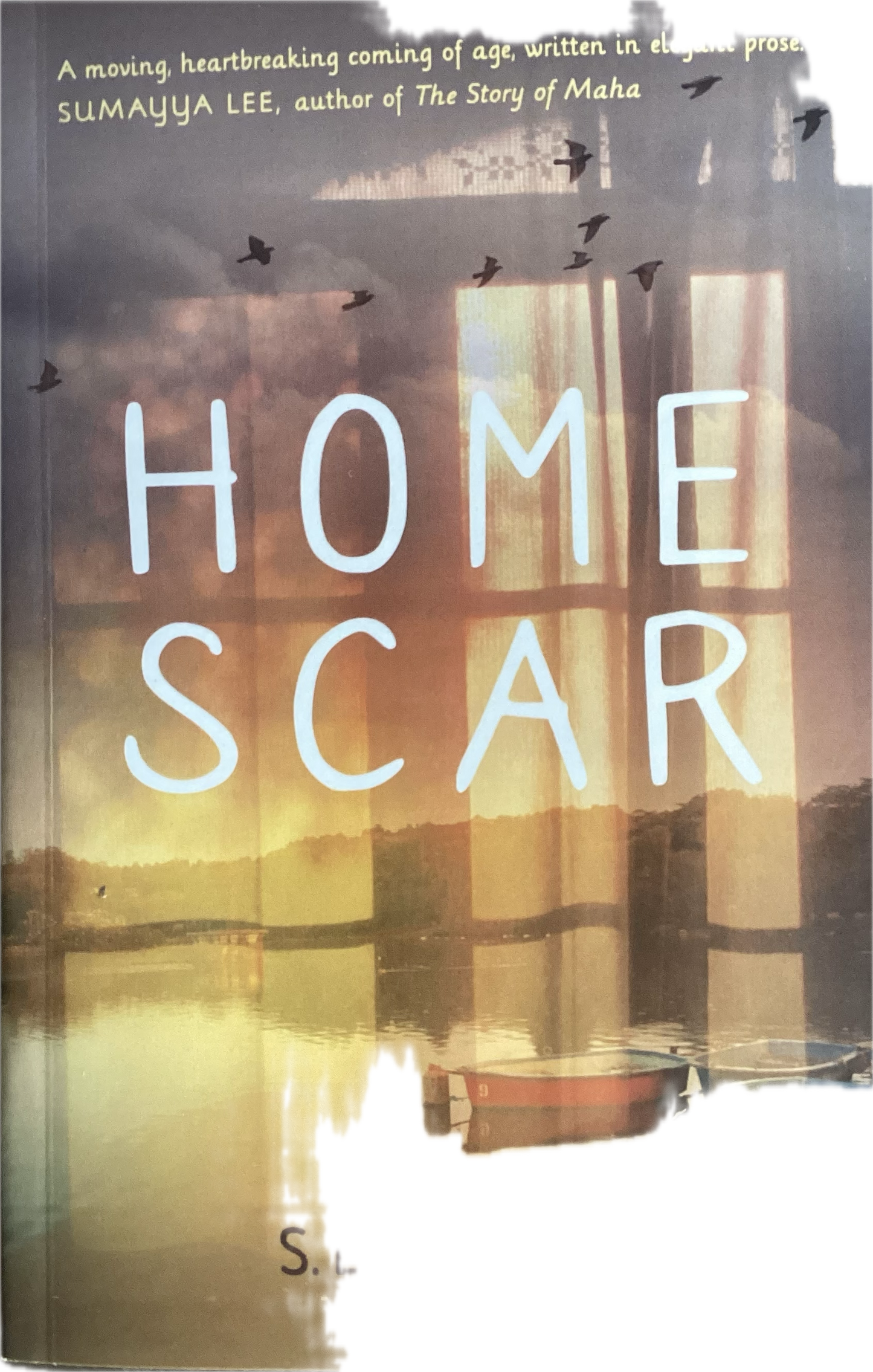 Home scar by S, E Bhamjee