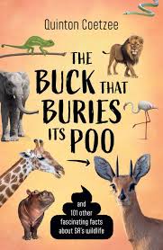 Buck that Buries its Poo, by Quinton Coetzee