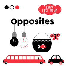 Baby's First Library: Opposites, by Agnese Baruzzi