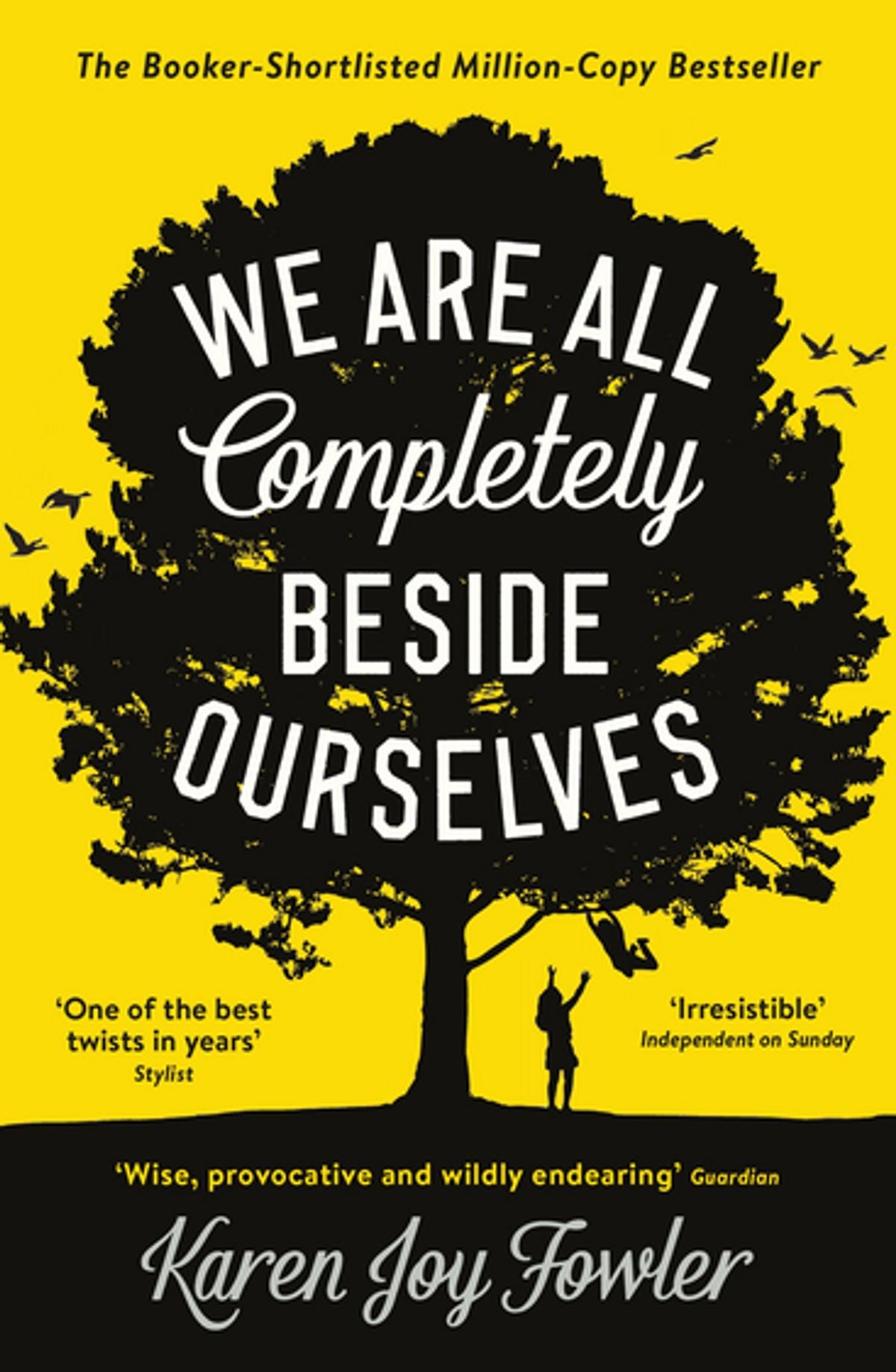We Are All Completely Beside Ourselves by Karen Joy Fowler
