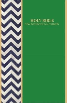 NIV standard printed aztec design Bible