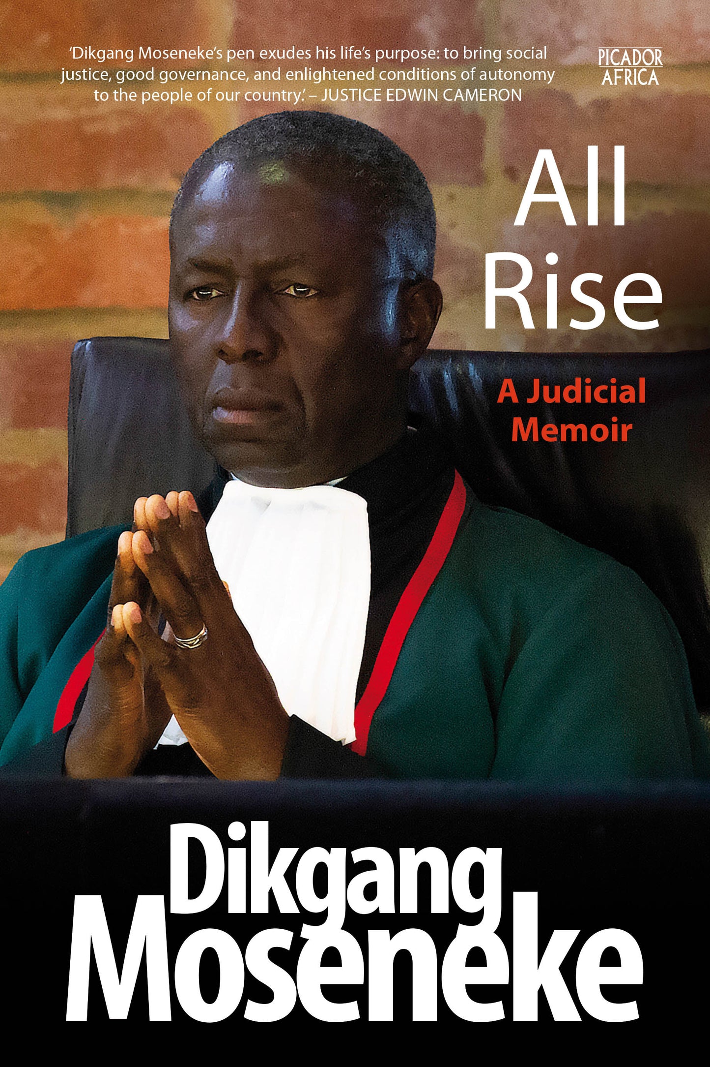 All Rise by Dikgang Moseneke
