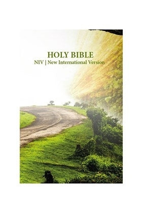 NIV luxury softcover Bible road way design