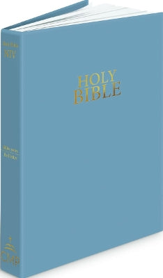 NIV Bible Compact Vinyl Steel Blue