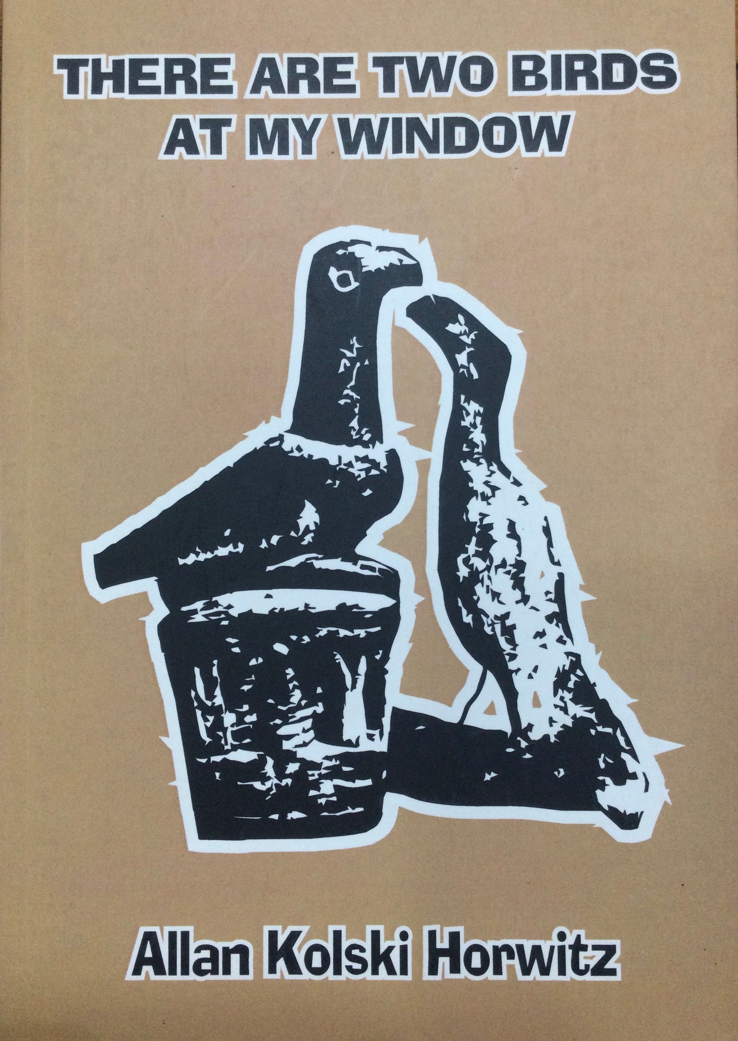 There Are Two Birds at My Window by Allan Kolski Horwitz