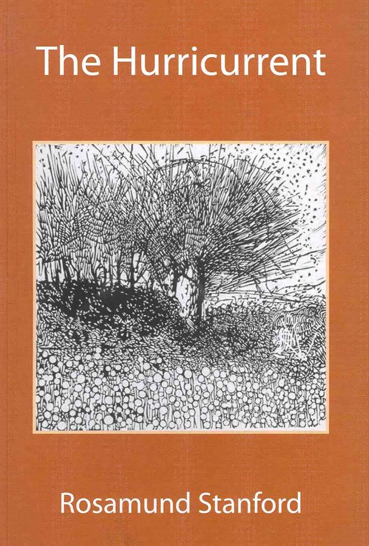 The Hurricurrent, by Rosamund Standord