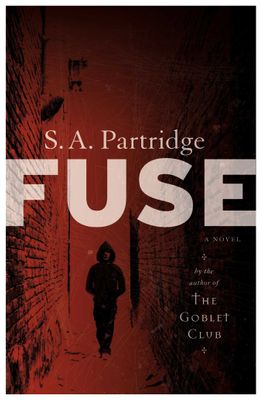 Fuse, by Sally-Ann Partridge (used)