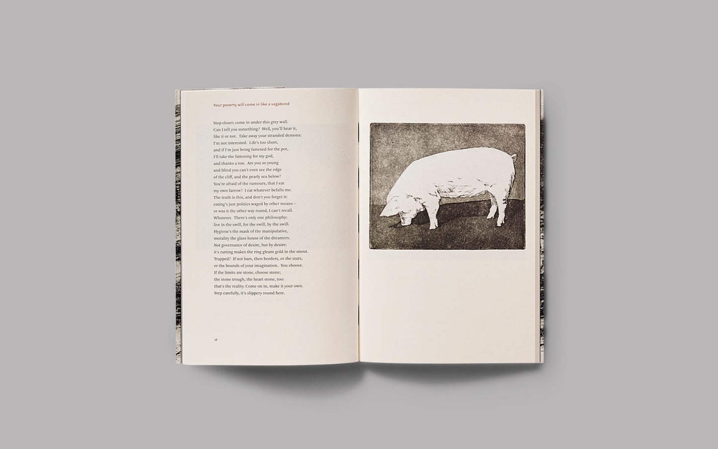 Slow Fires, by Dan Wylie and Roxandra Dardagan Britz