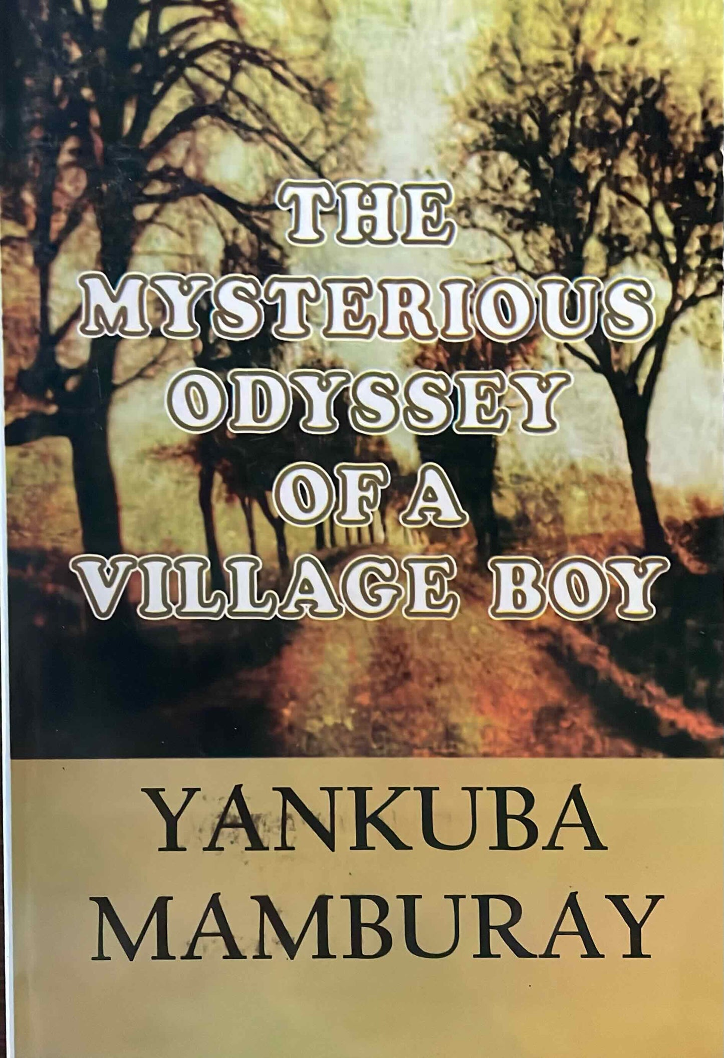 The Mysterious Odyssey of a Village Boy, by Yankuba Mamburay