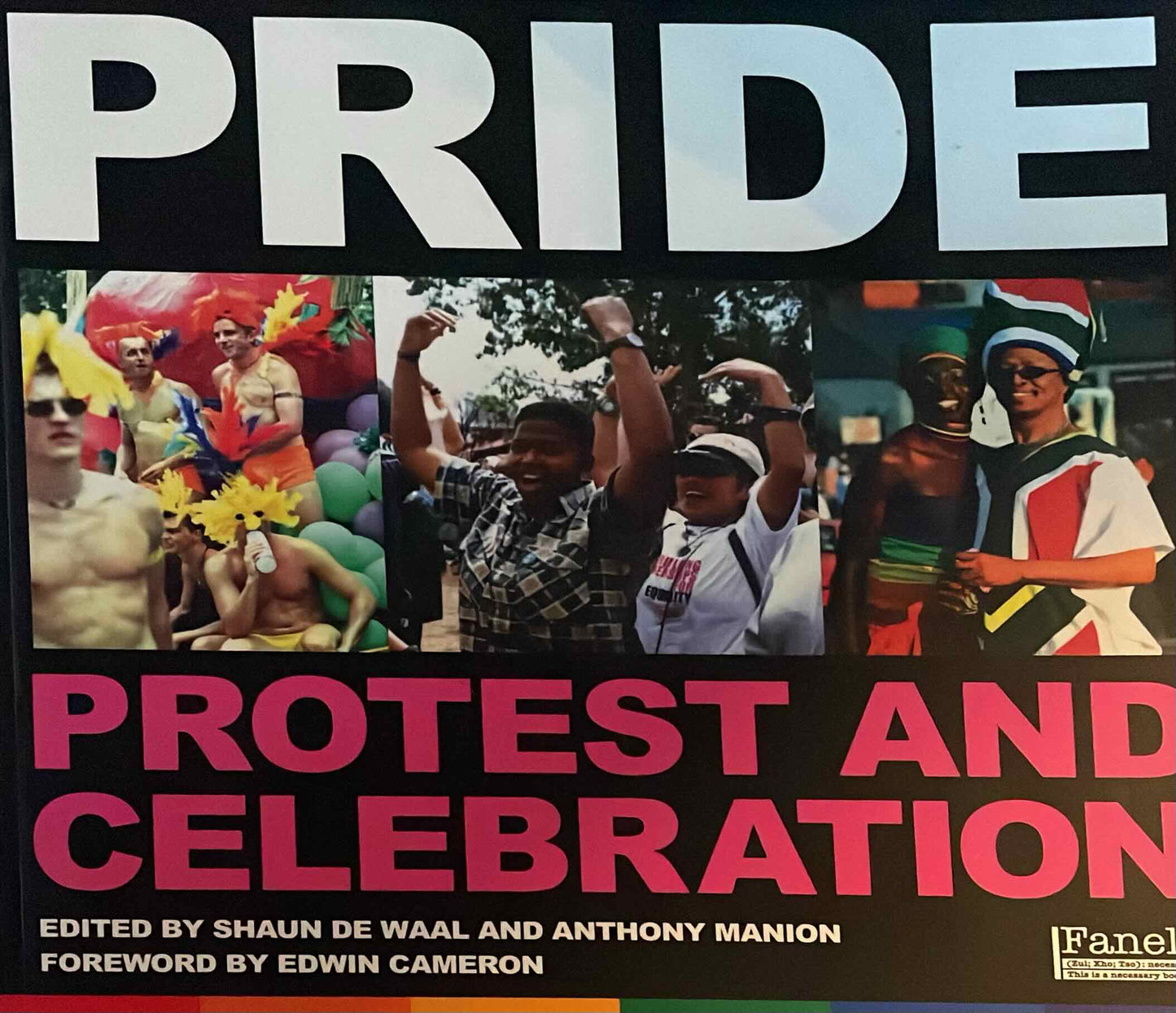 Pride: Protest and Celebration, edited by Shaun De Waal and Anthony Manion