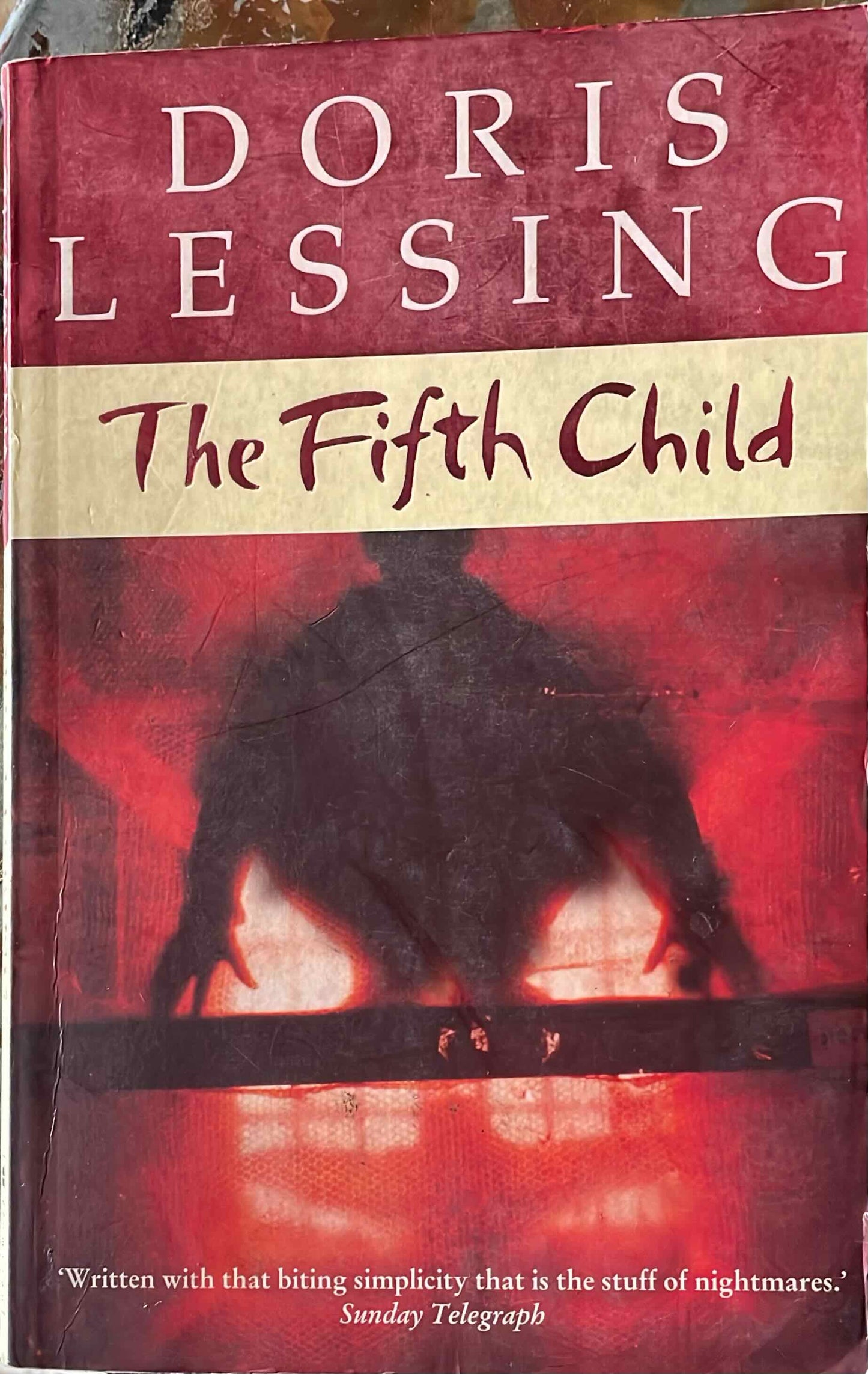 The Fifth Child, by Doris Lessing