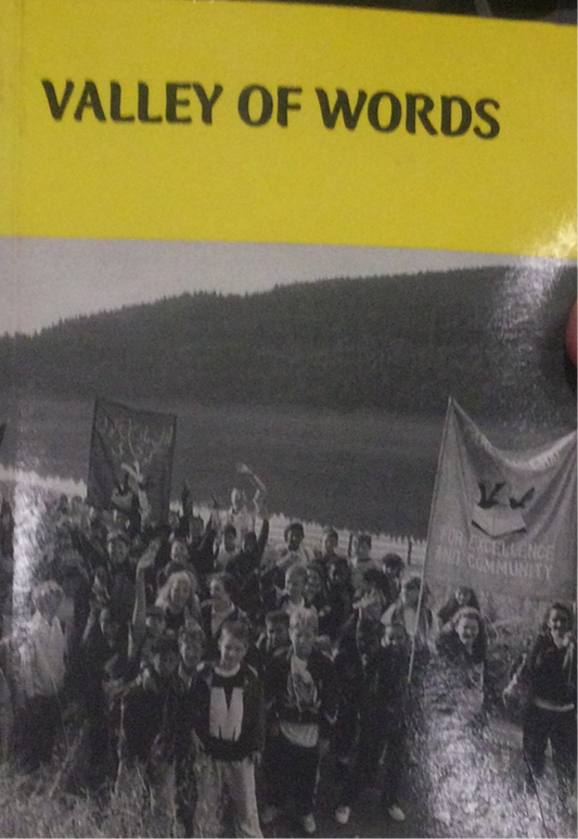 Valley of Words (used)