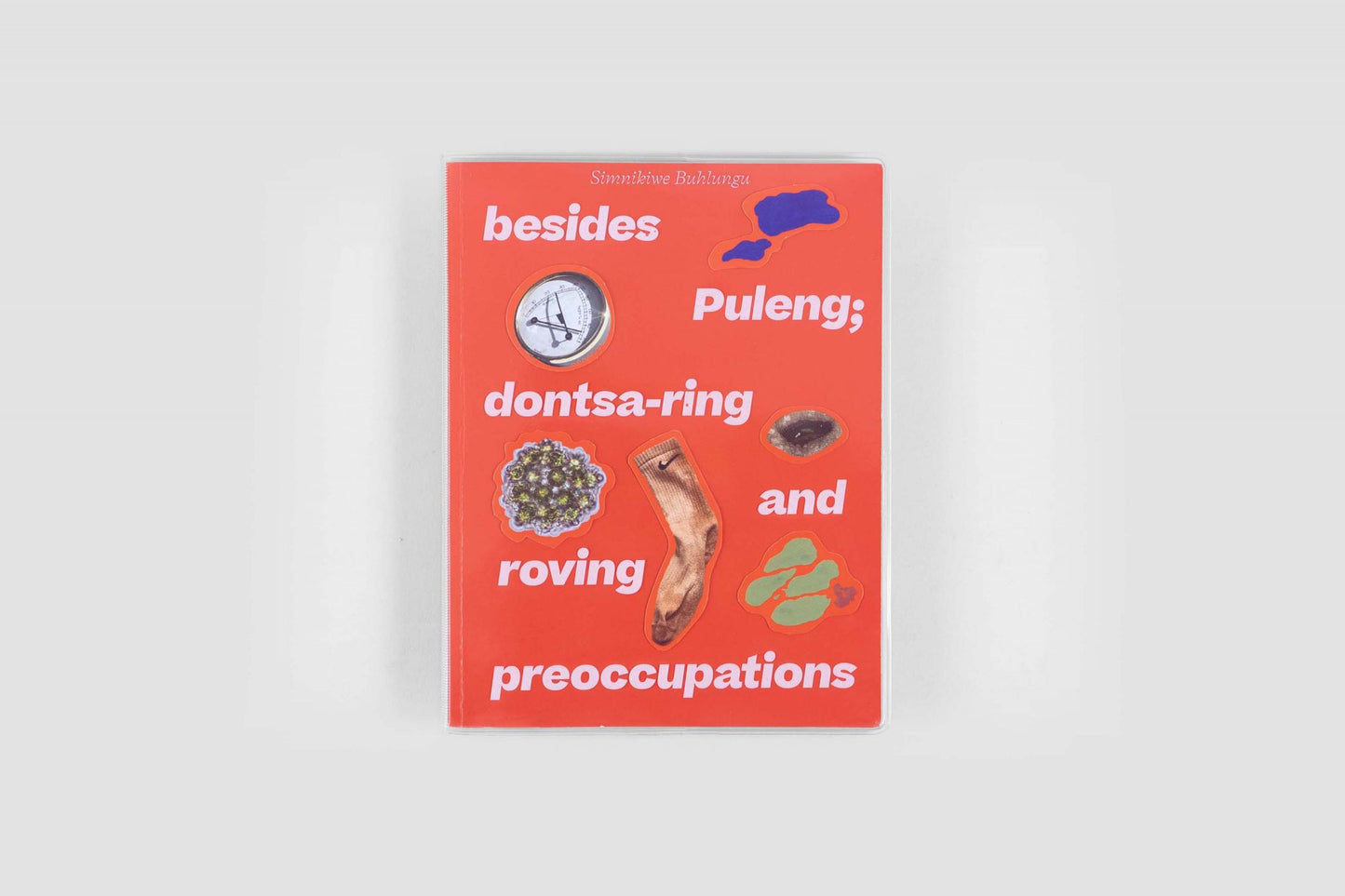 besides Puleng; dontsa-ring and roving preoccupations by Simnikiwe Buhlungu