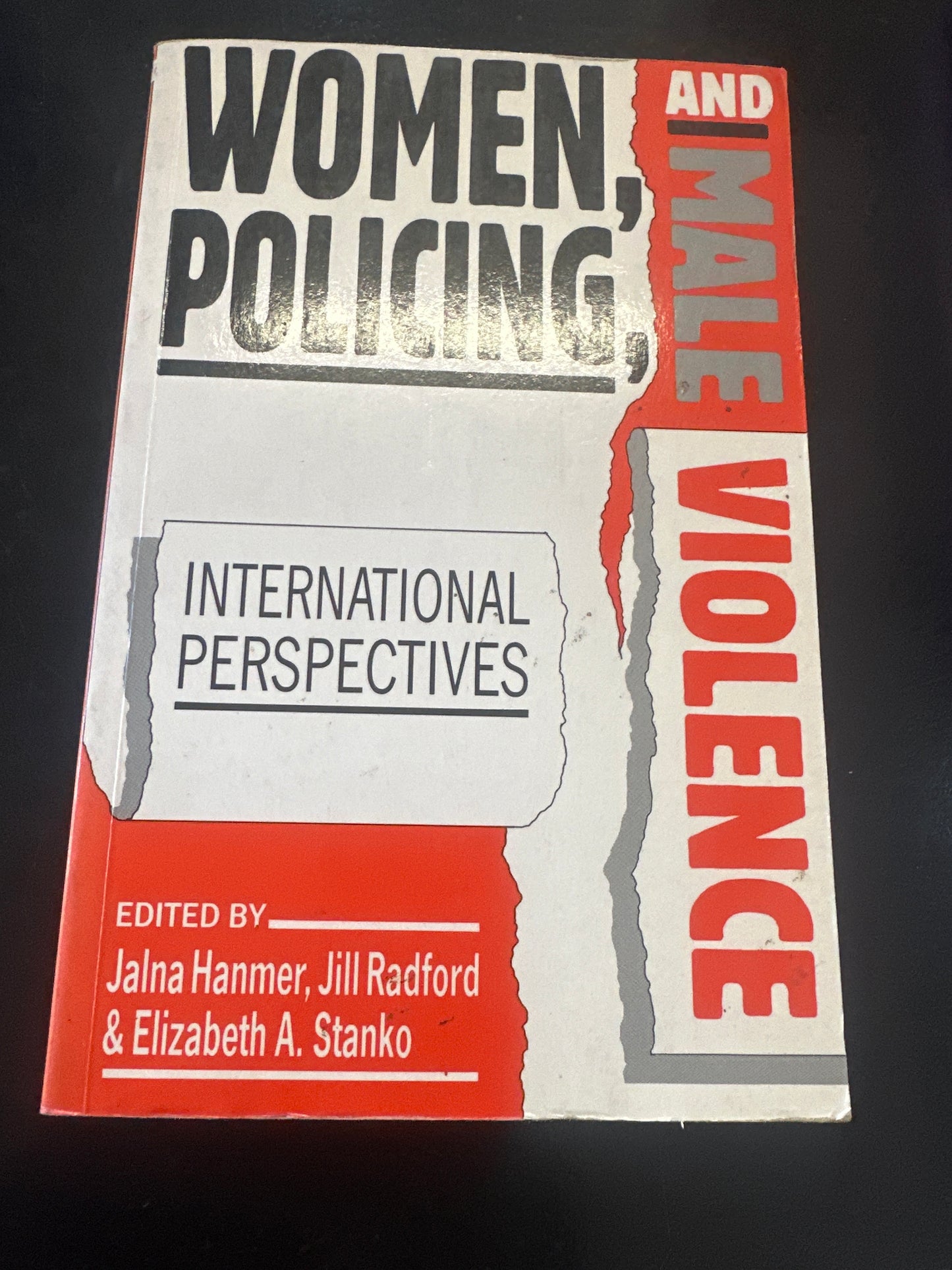 Women, Policing and Male Violence: International Perspectives (Used)