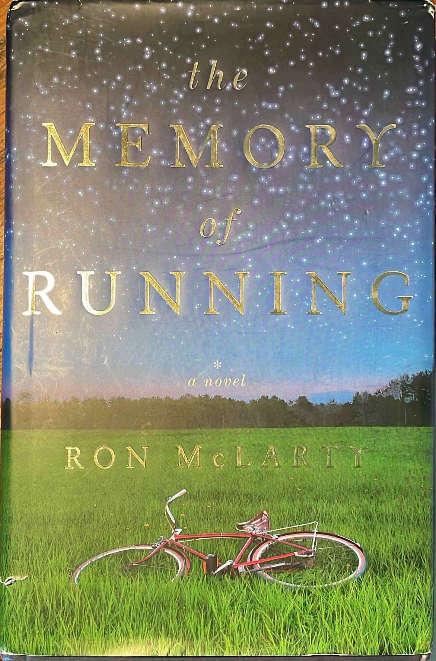 The Memory of Running, by Ron McLarty