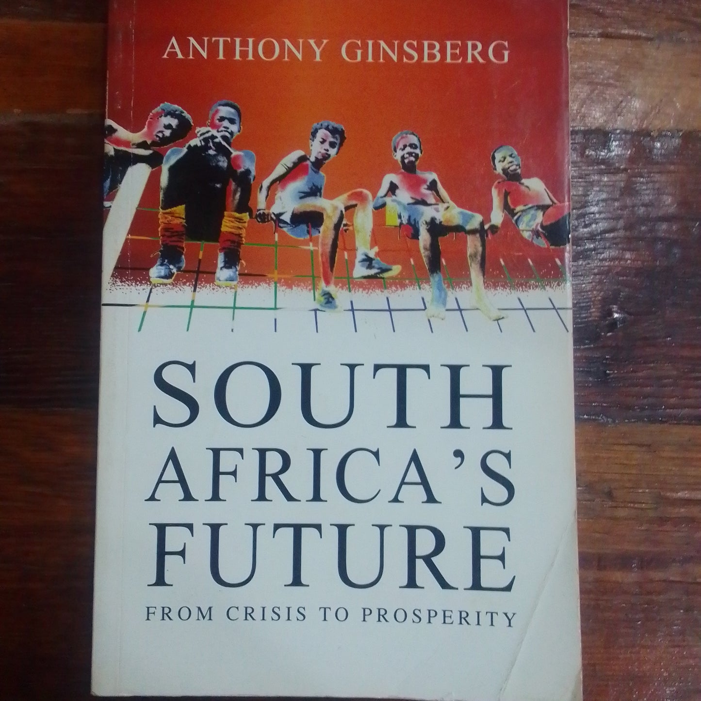 South Africa's Future