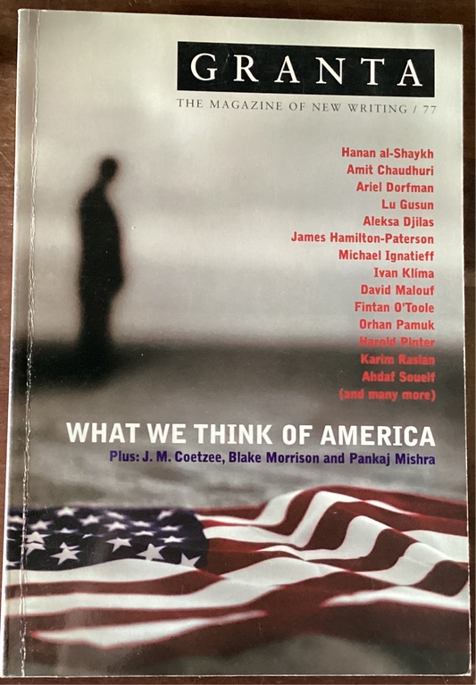 What We Think Of America (Used)