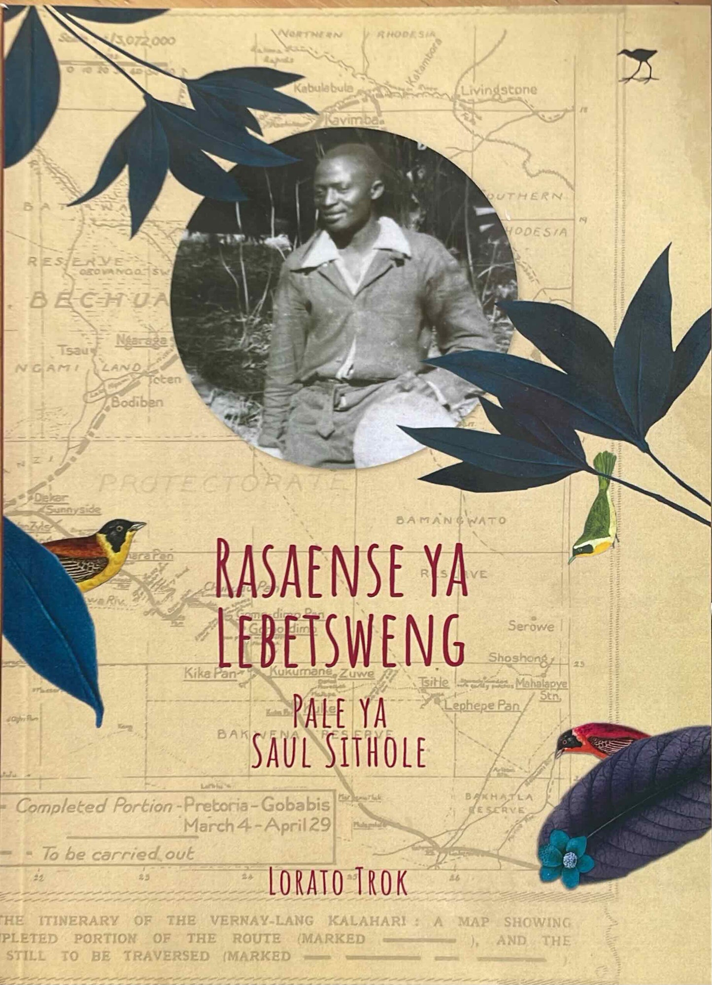 The Forgotten Scientist: The Story of Saul Sithole (Sesotho), by Lorato Trok