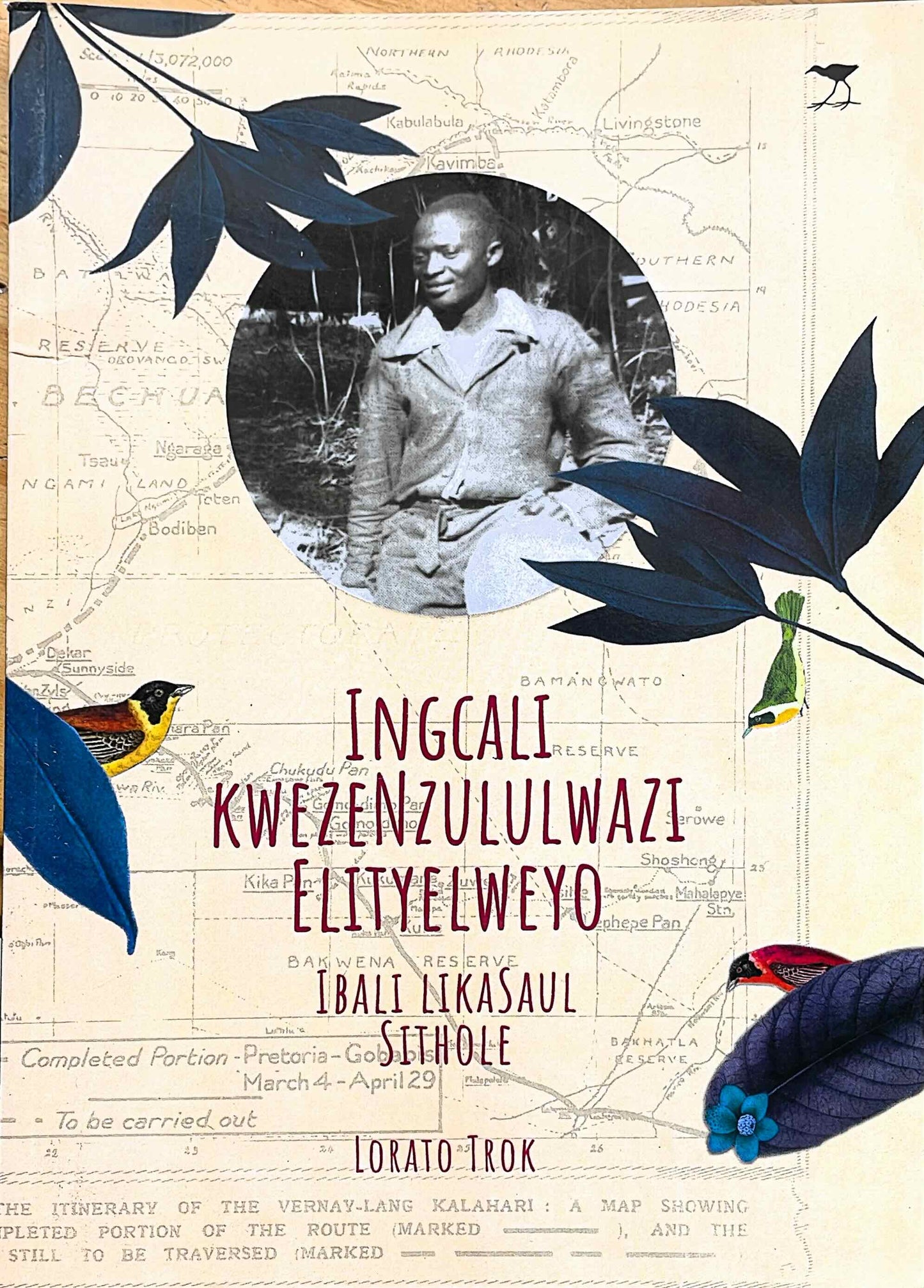 The Forgotten Scientist: The Story of Saul Sithole (isiXhosa), by Lorato Trok