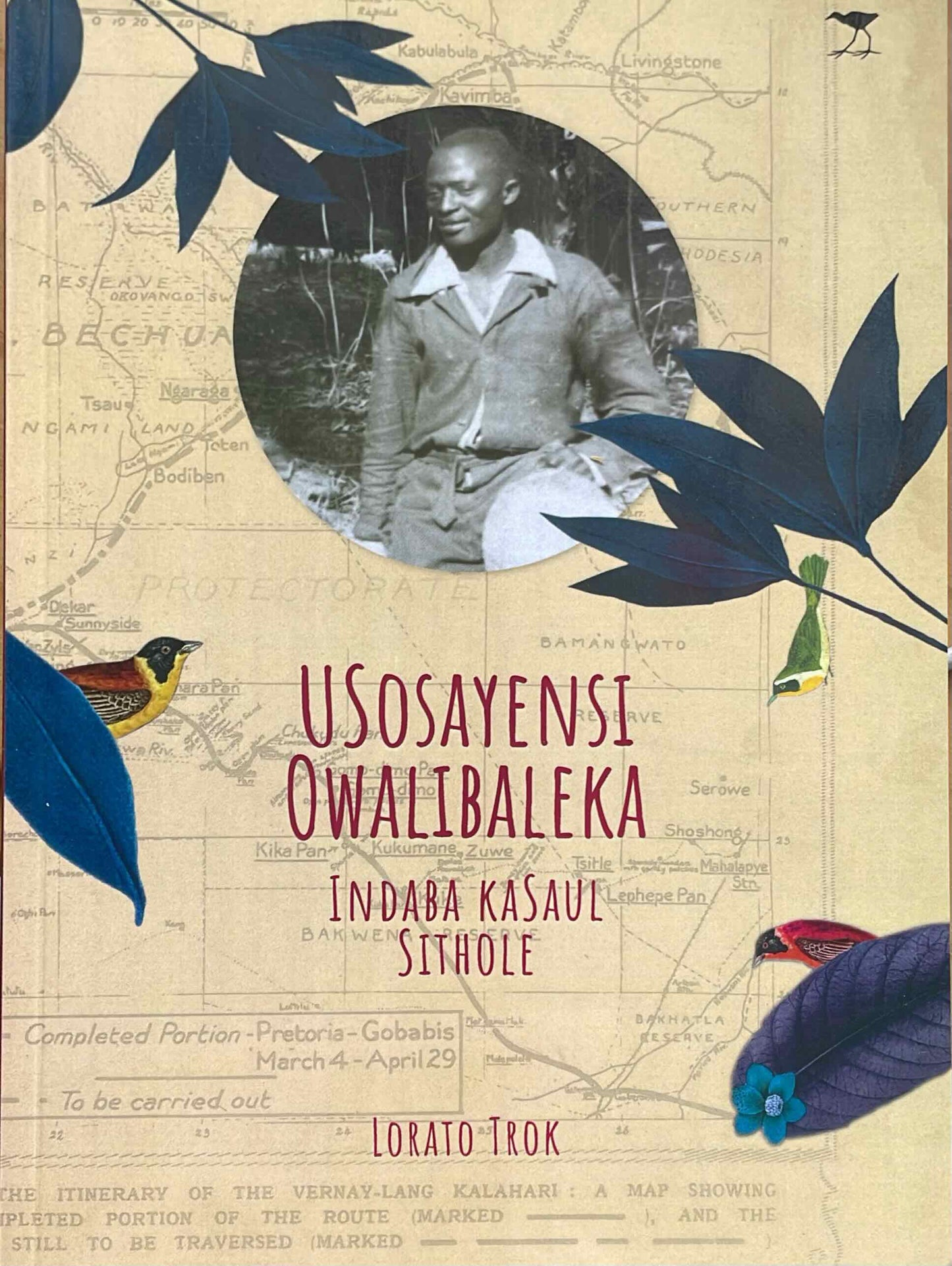 The Forgotten Scientist: The Story of Saul Sithole (isiZulu), by Lorato Trok