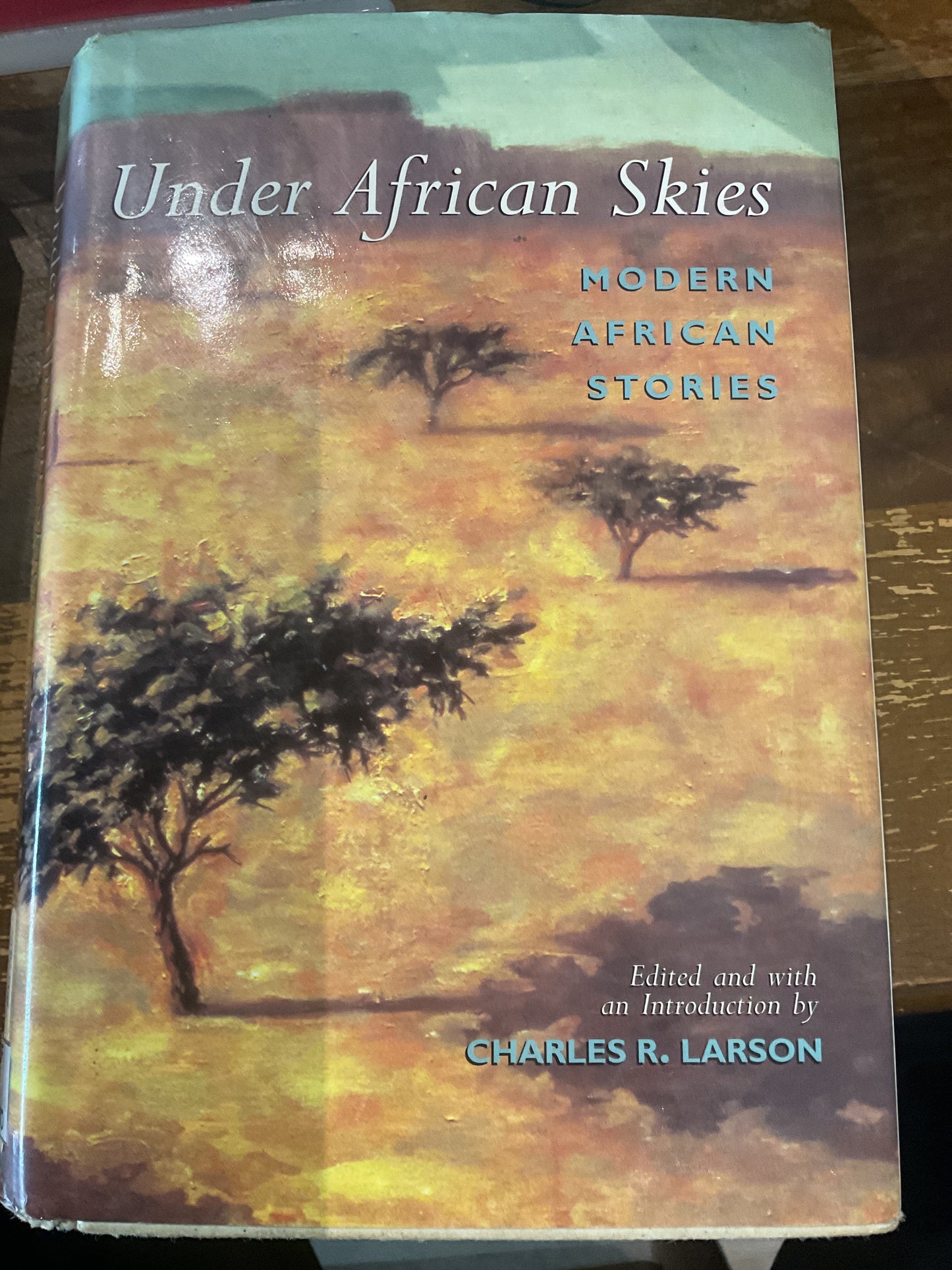 Under African Skies - Modern African Stories