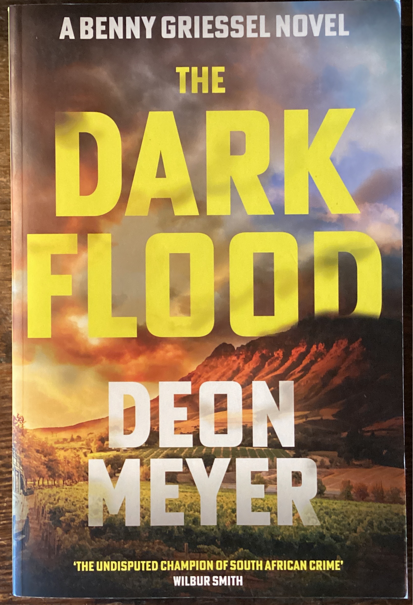 The Dark Flood by Deon Meyer (Used)