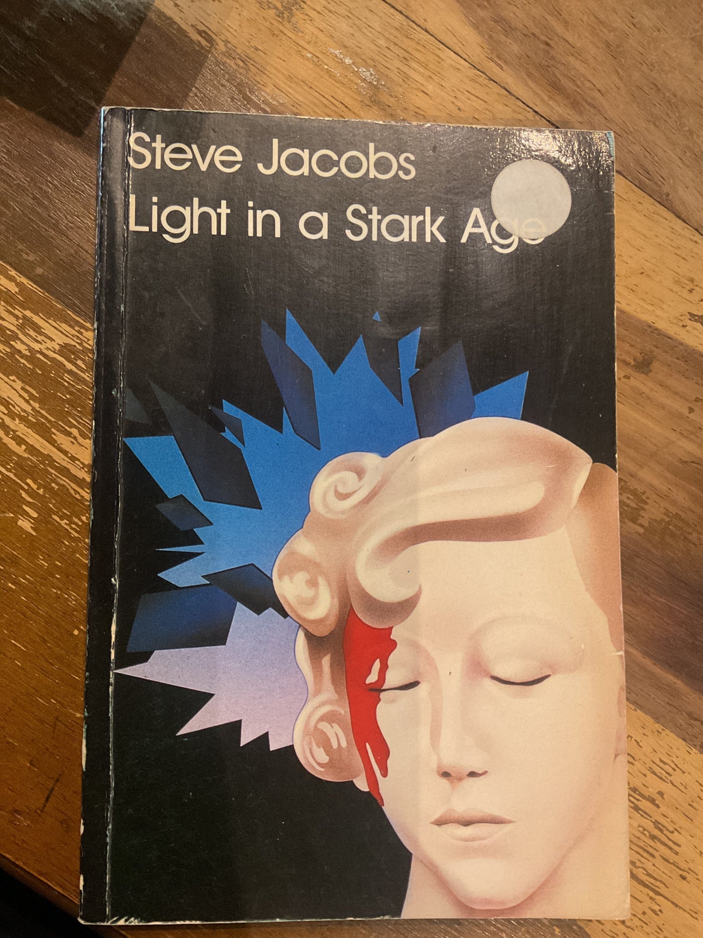 Light in a Stark Age by Steve Jacobs