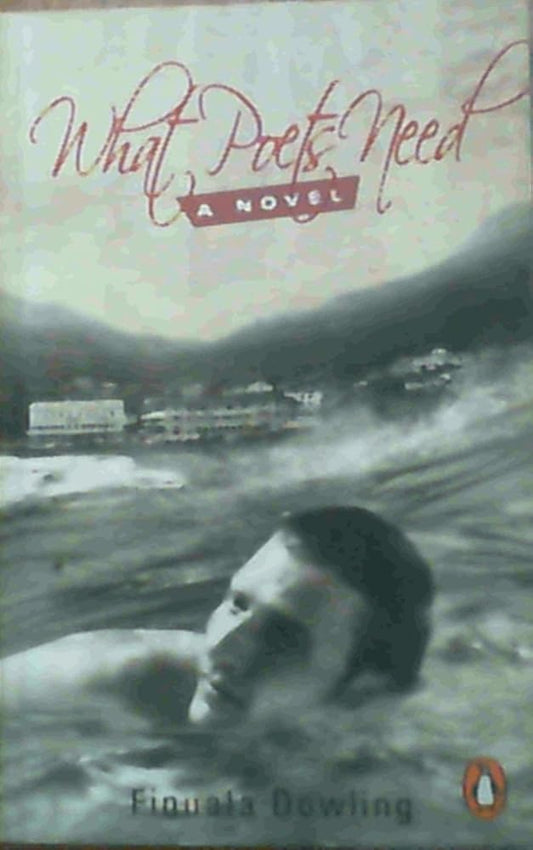 What Poets Need cover image