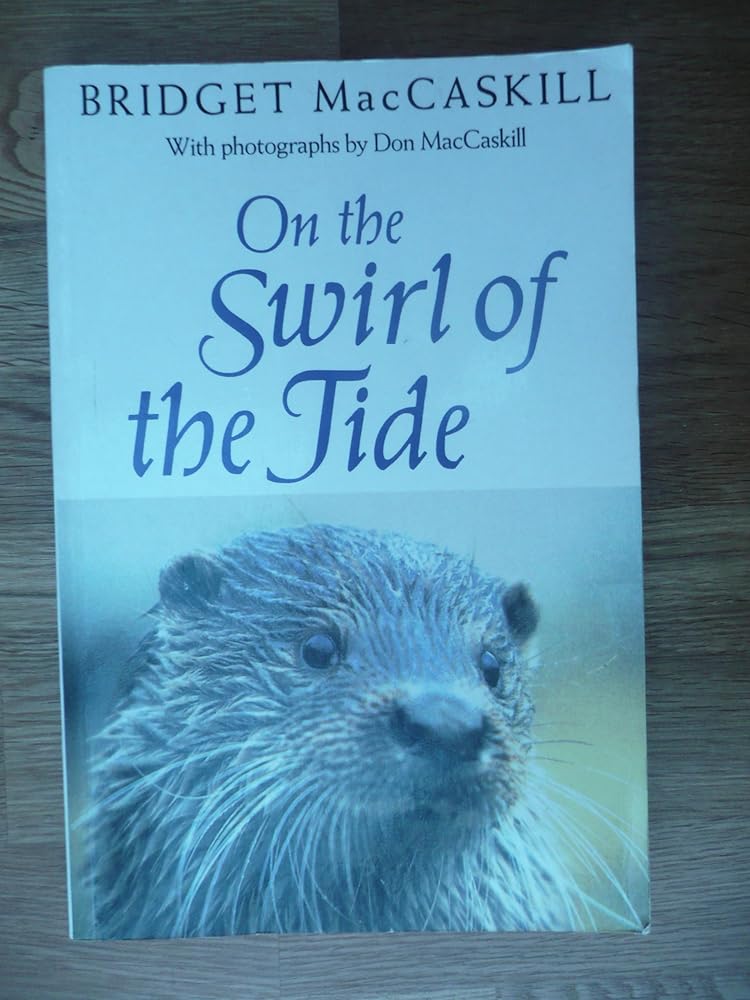 On The Swirl Of The Tide cover image