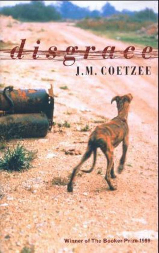 Disgrace cover image