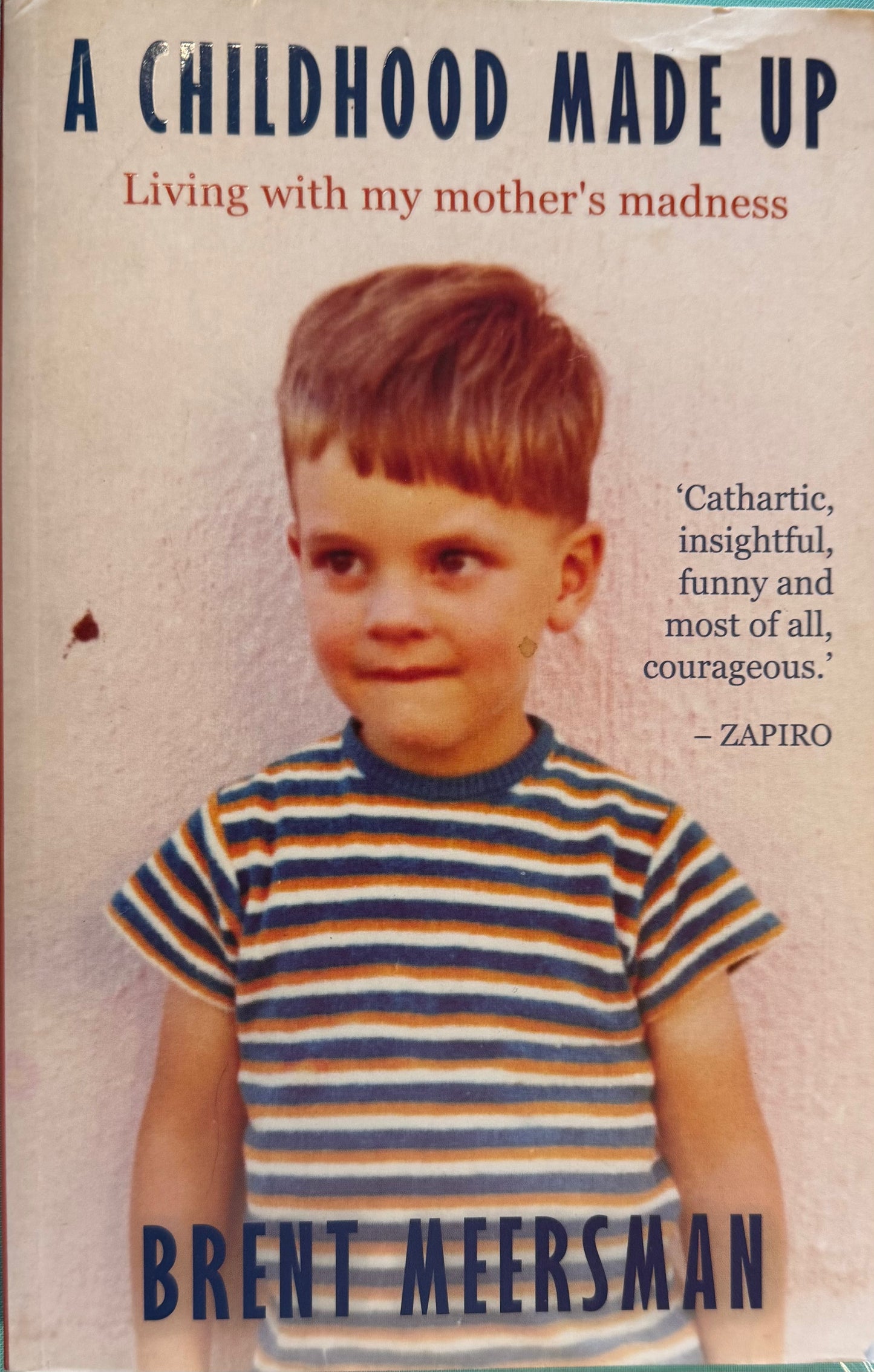 A Childhood Made Up, by Brent Meersman (used)