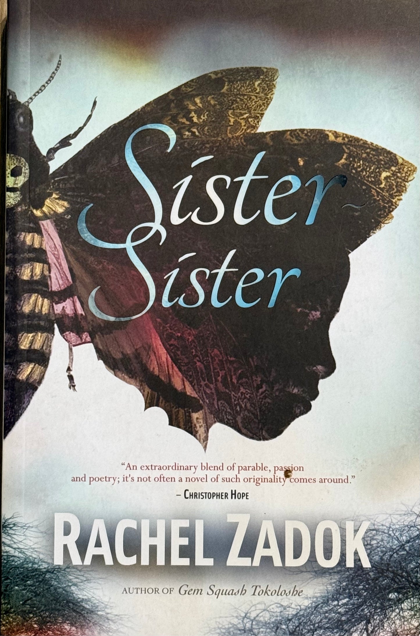 Sister-Sister, by Rachel Zadok (used)