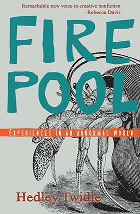 Firepool cover image