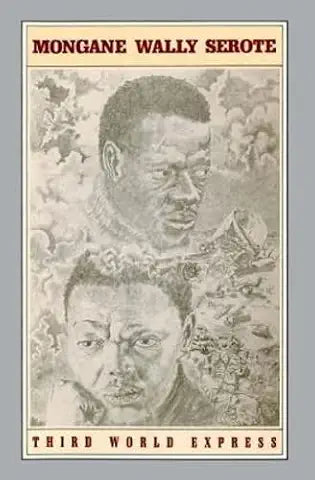 Third World Express, by Mongane Wally Serote (used)