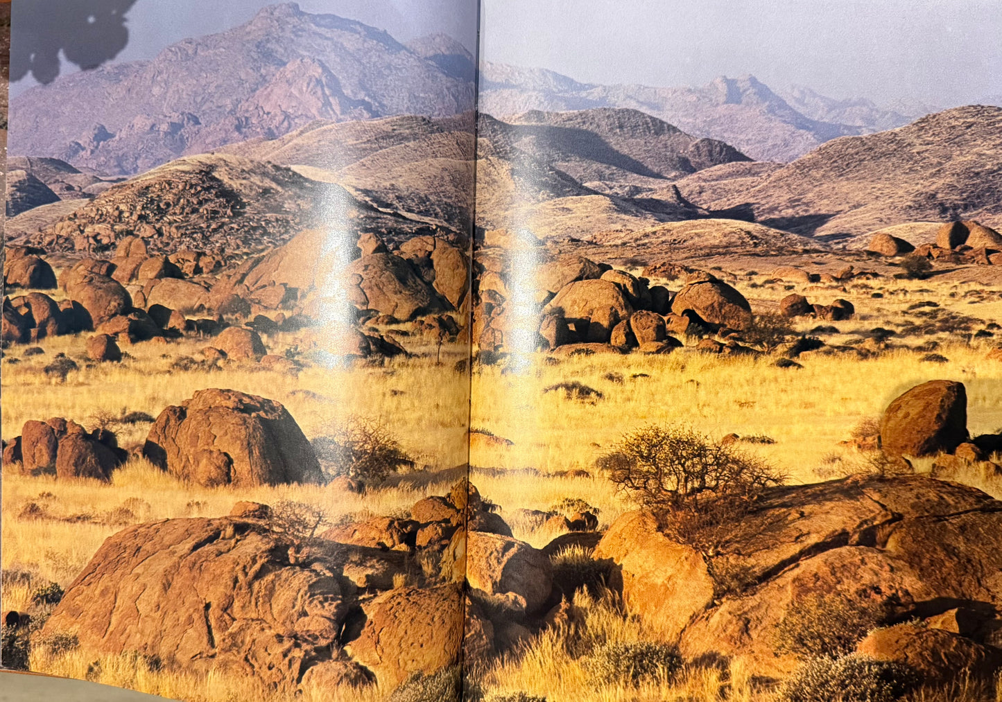Namibia: Africa's Harsh Paradise, by Anthony Bannister and Peter Johnson (used)