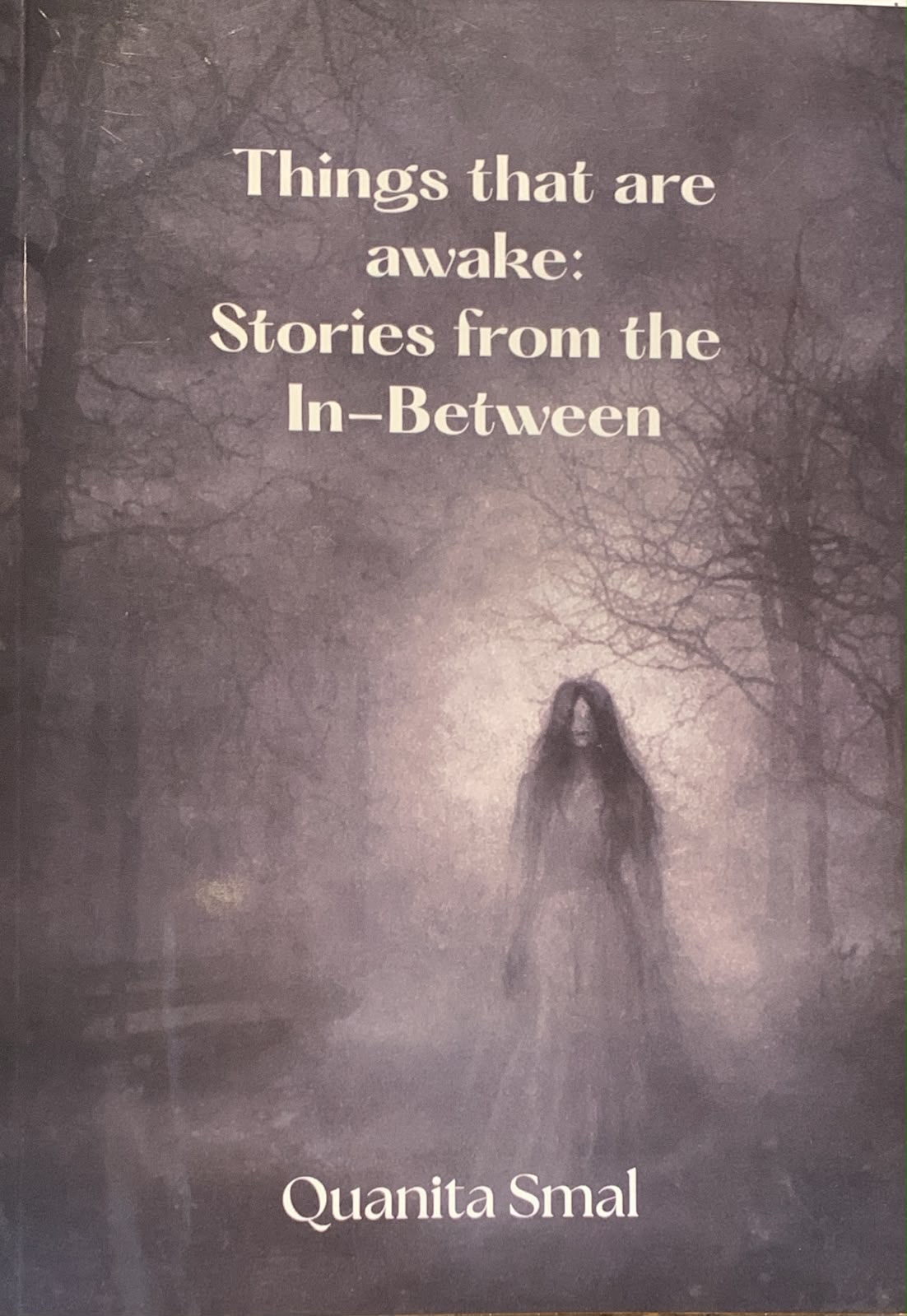 Things that are awake: Stories from the In-Between, by Quanita Smal