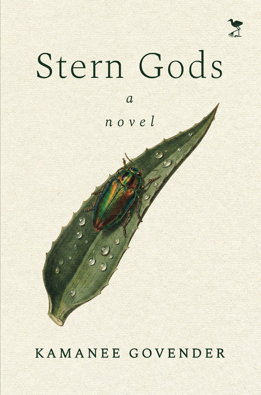 Stern Gods, by Kamanee Govender