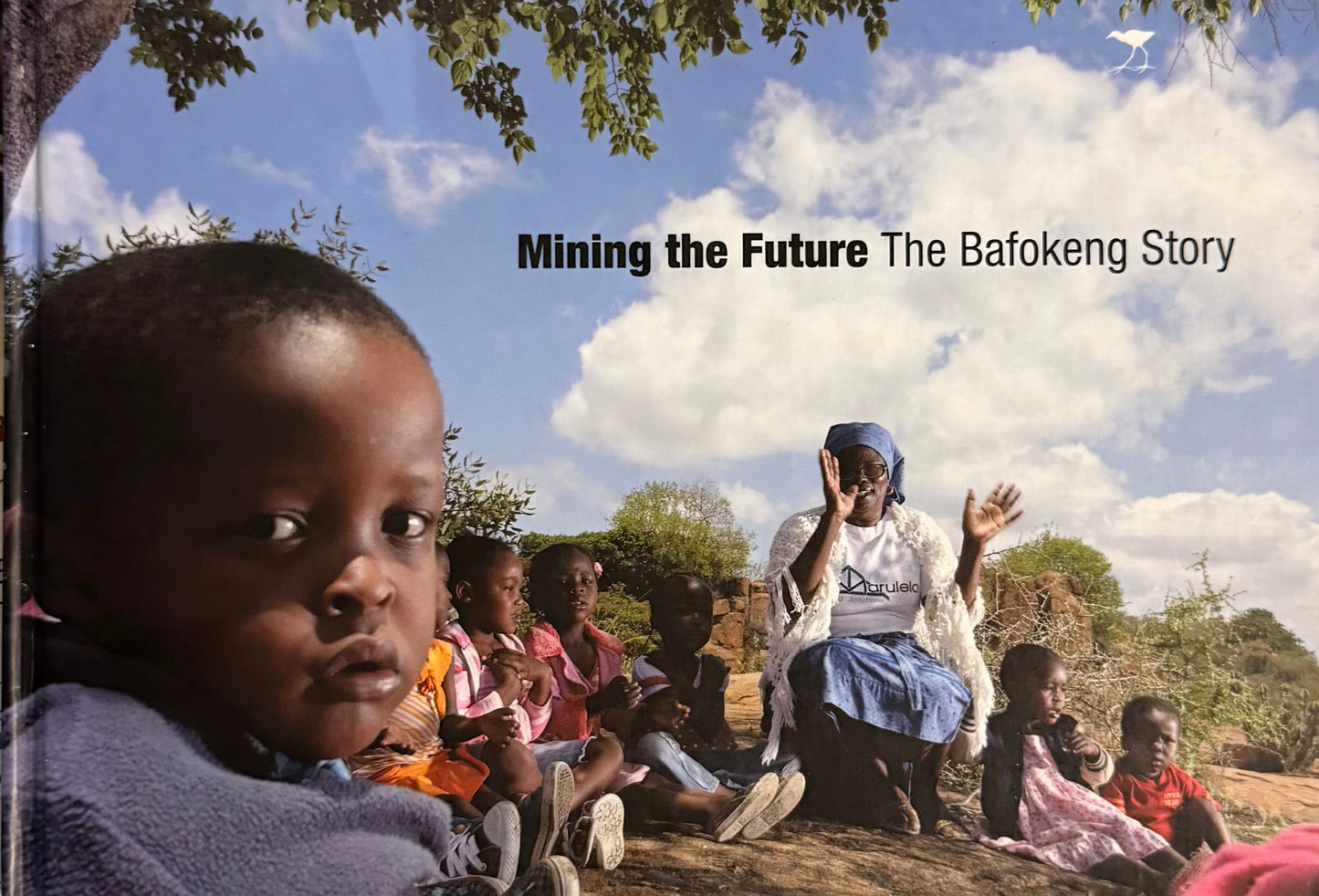 Mining the Future: The Bafokeng Story (used)