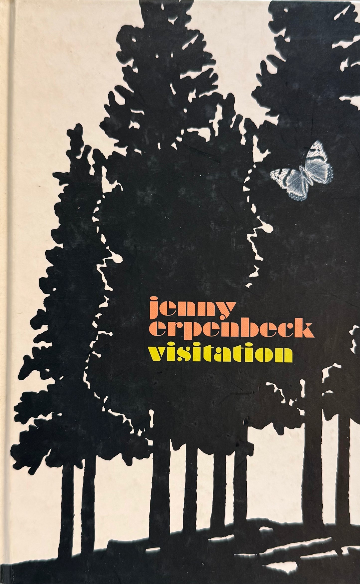 Visitation, by Jenny Erpenbeck (used)