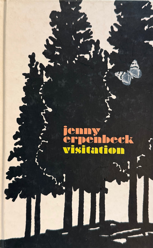 Visitation, by Jenny Erpenbeck (used)