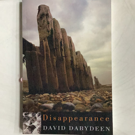 Disappearance, by David Dabydeen (used)