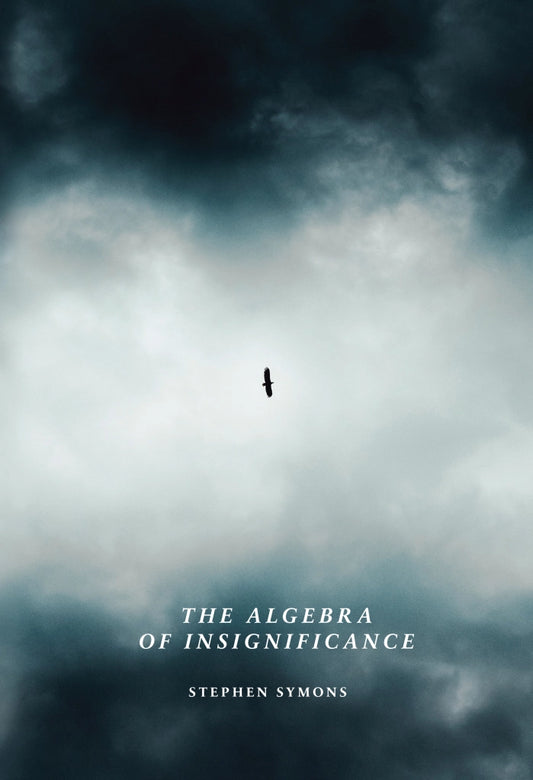 The Algebra of Insignificance by Stephen Symons